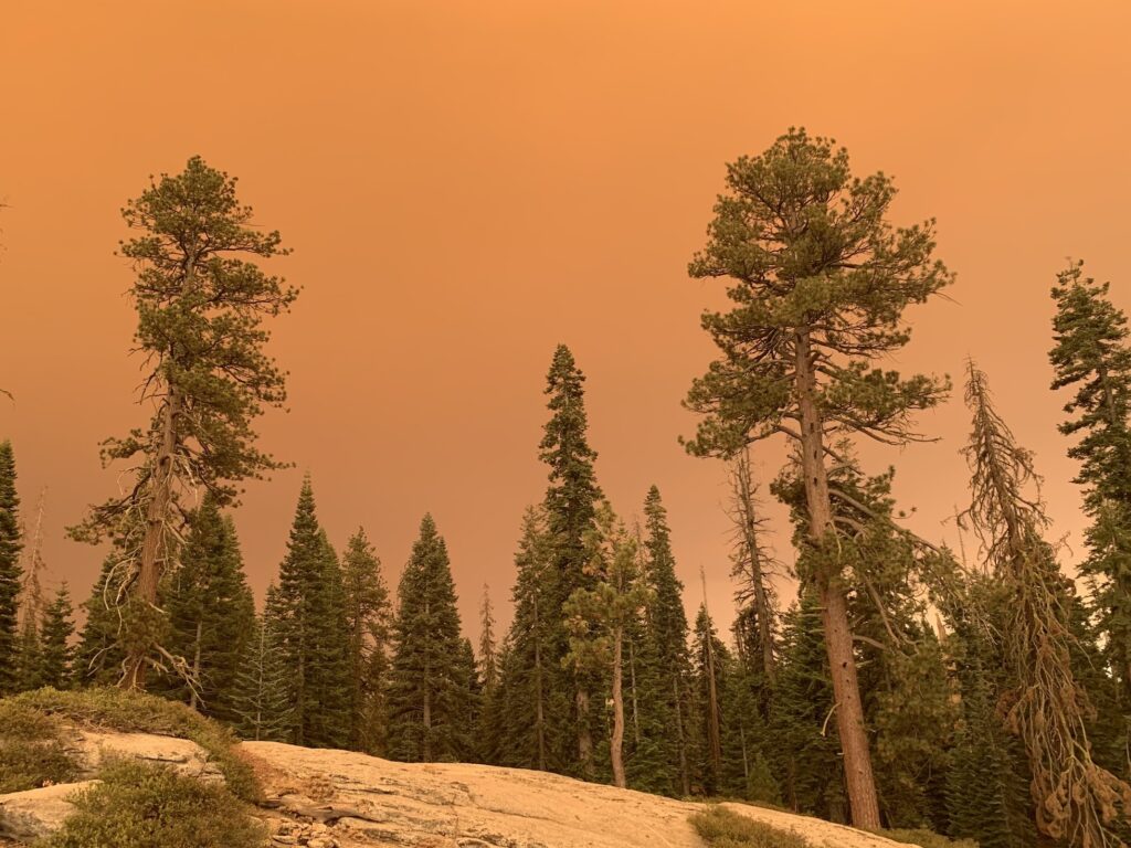 Orange skies Yosemite national park
