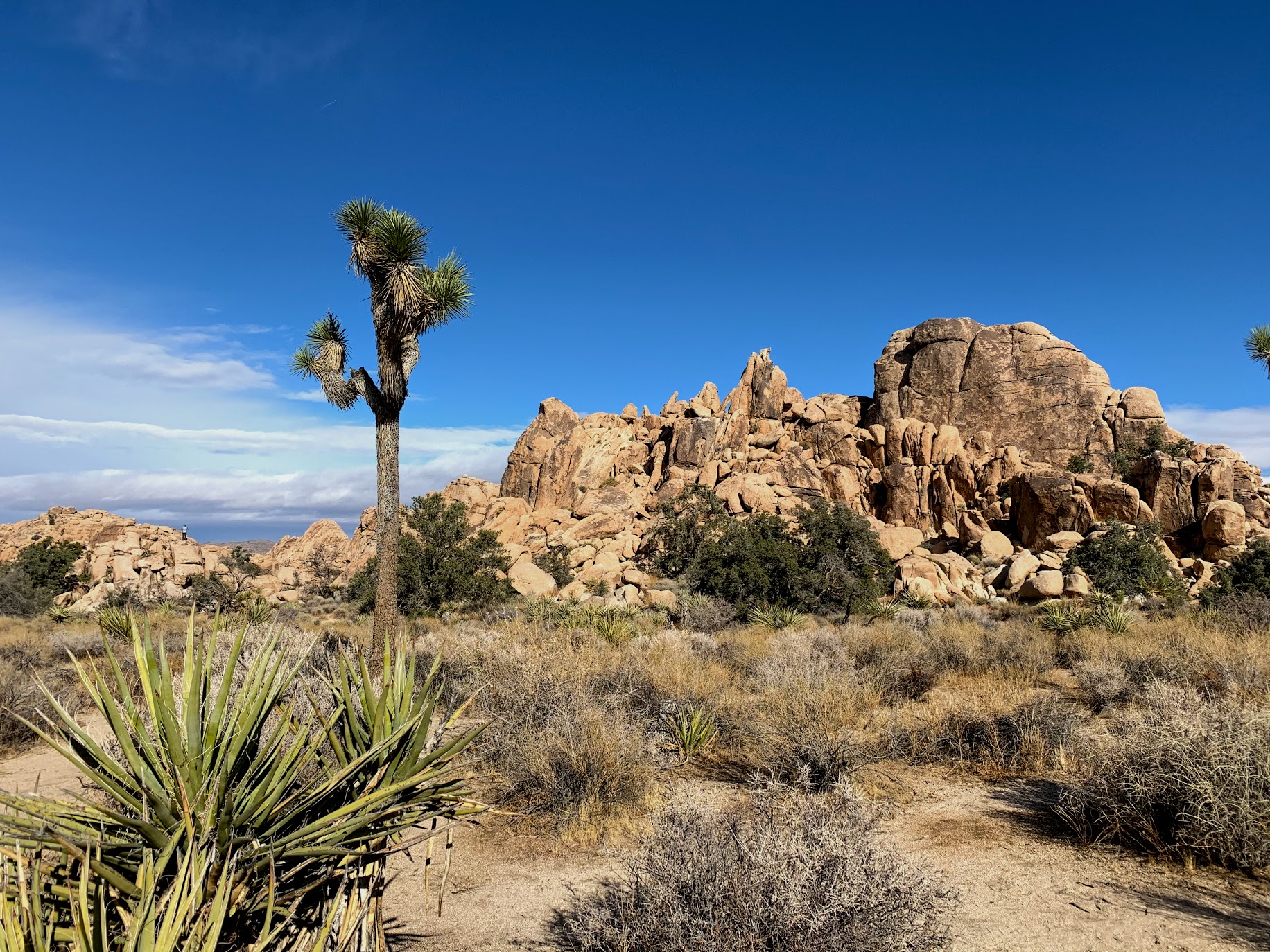 Joshua Tree National Park, California