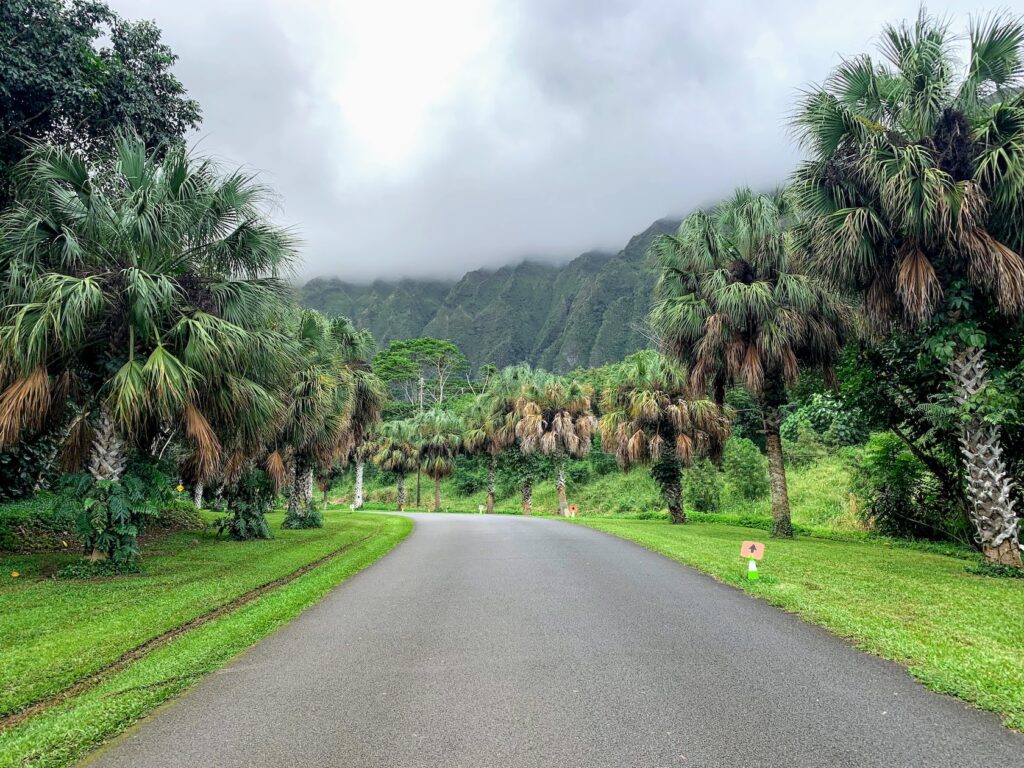 Hoomaluhia Botanical Gardens Oahu Hawaii