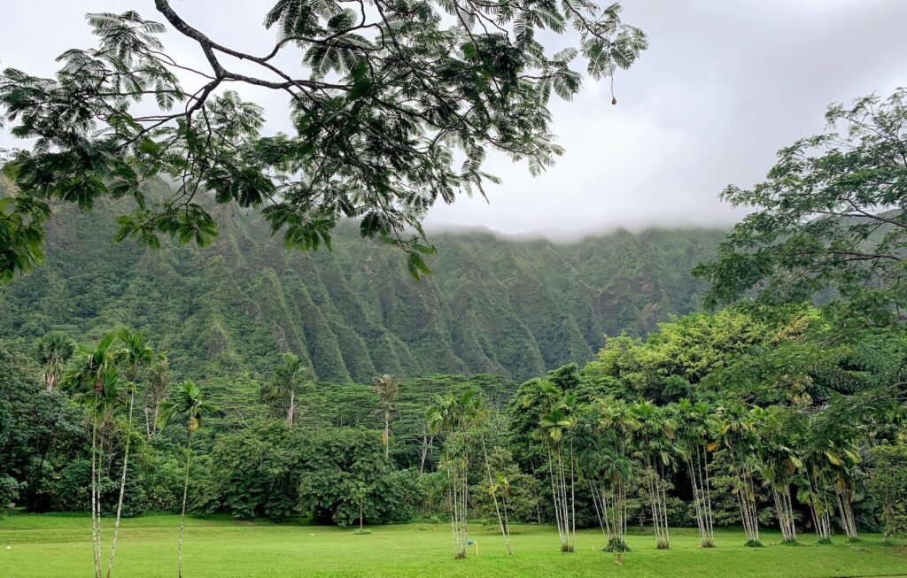 Hoomaluhia_Mountain_Ridges_Oahu