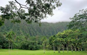 Hoomaluhia_Mountain_Ridges_Oahu