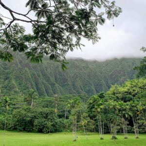 the perfect one week itinerary for oahu hawaii