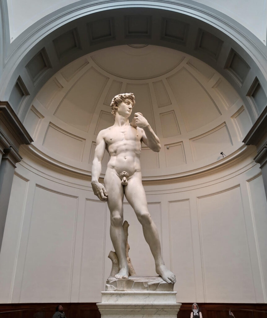 Statue of David, Gallerie dell'Accademia, Florence, Italy