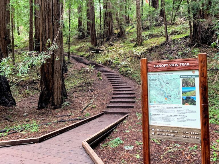 Entrance to Canopy View trail from Main trail
