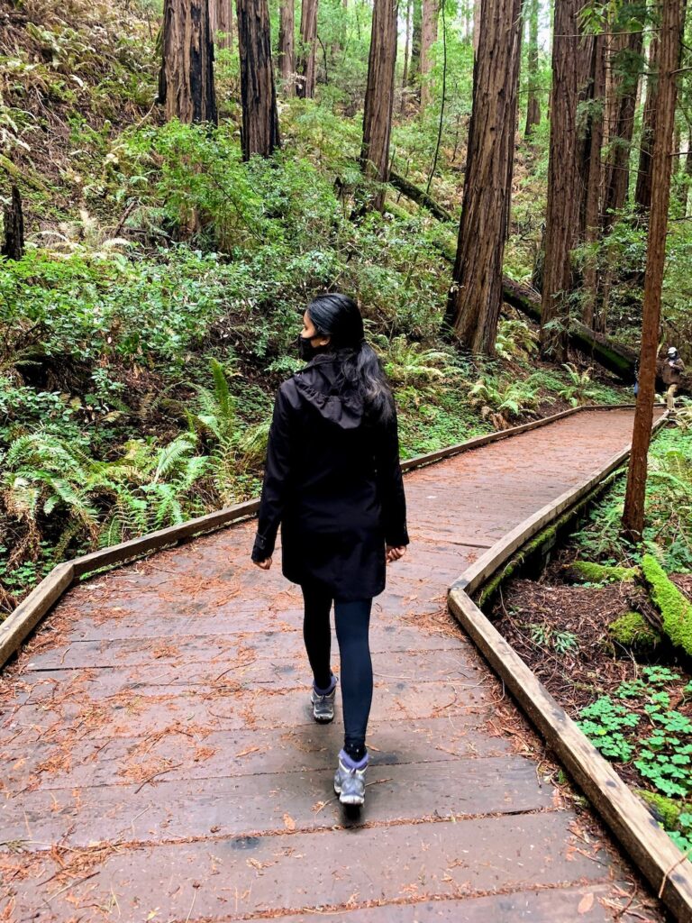 Boardwalk Muir Woods self