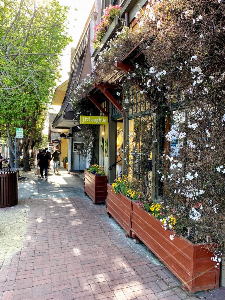 Carmel downtown flowers