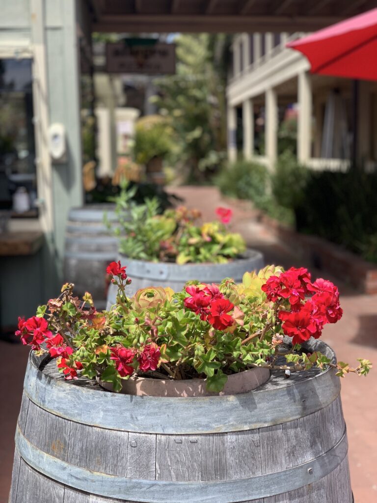 Day trip from San Francisco to Carmel flowers