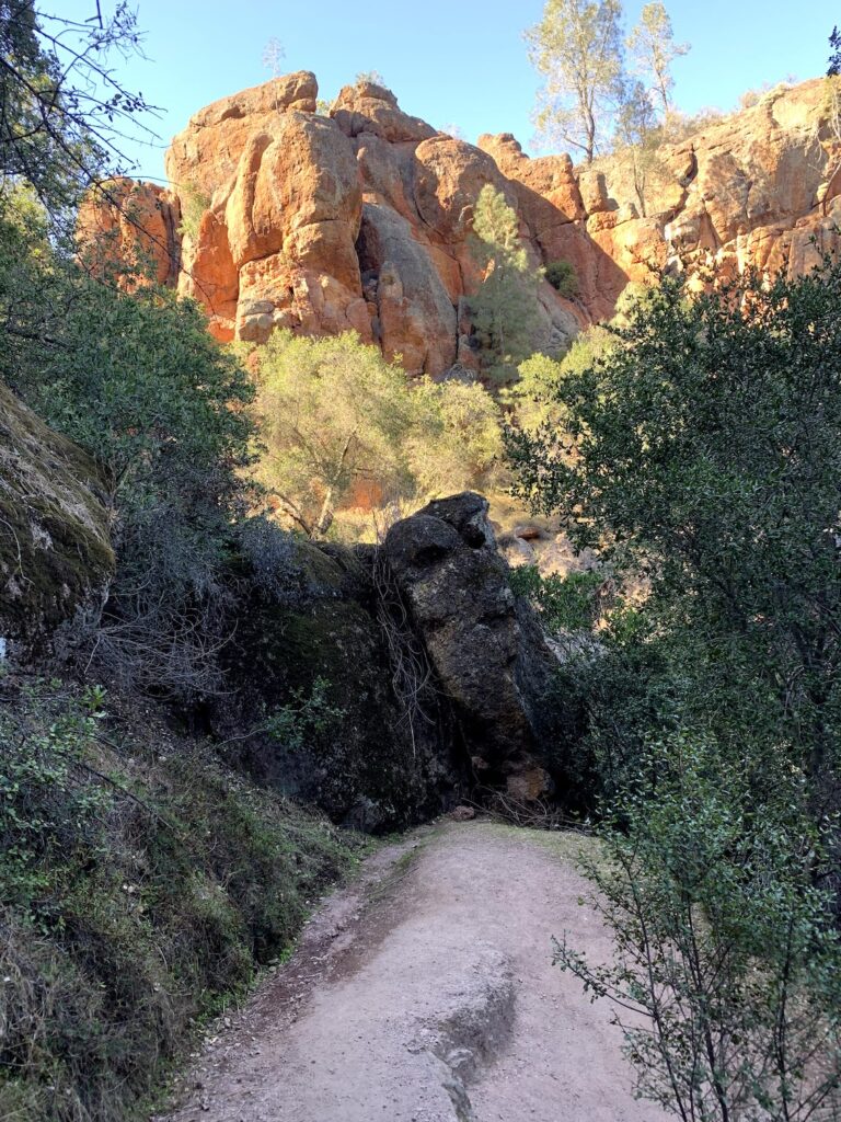 Pinnacles NP red rocks