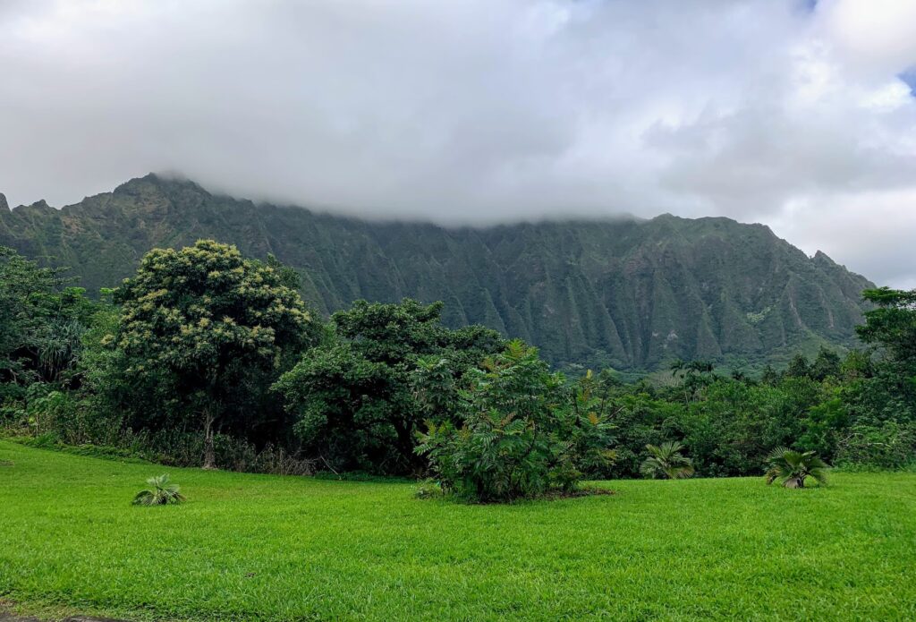 Pali highway views, Oahu