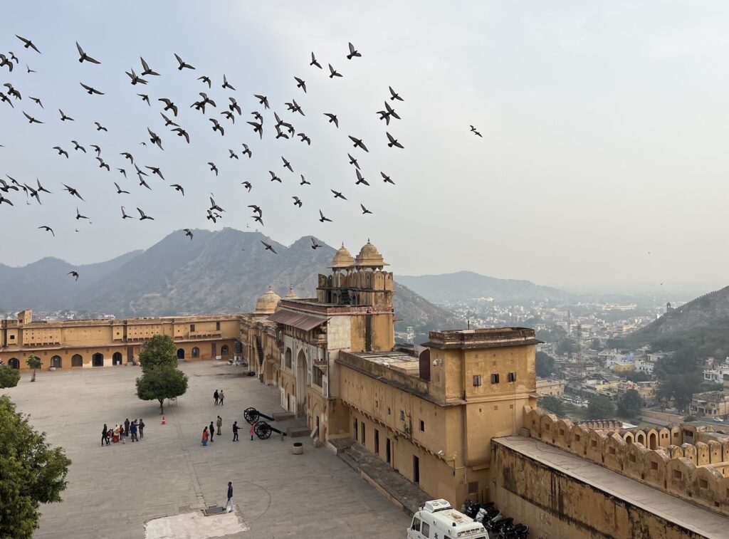 Amer Fort, Jaipur, Golden Triangle, India