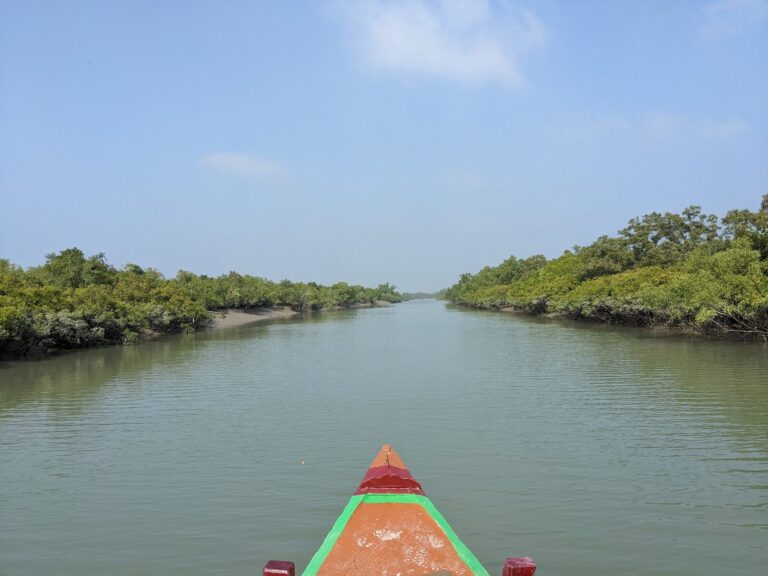 Sundarbans, West Bengal