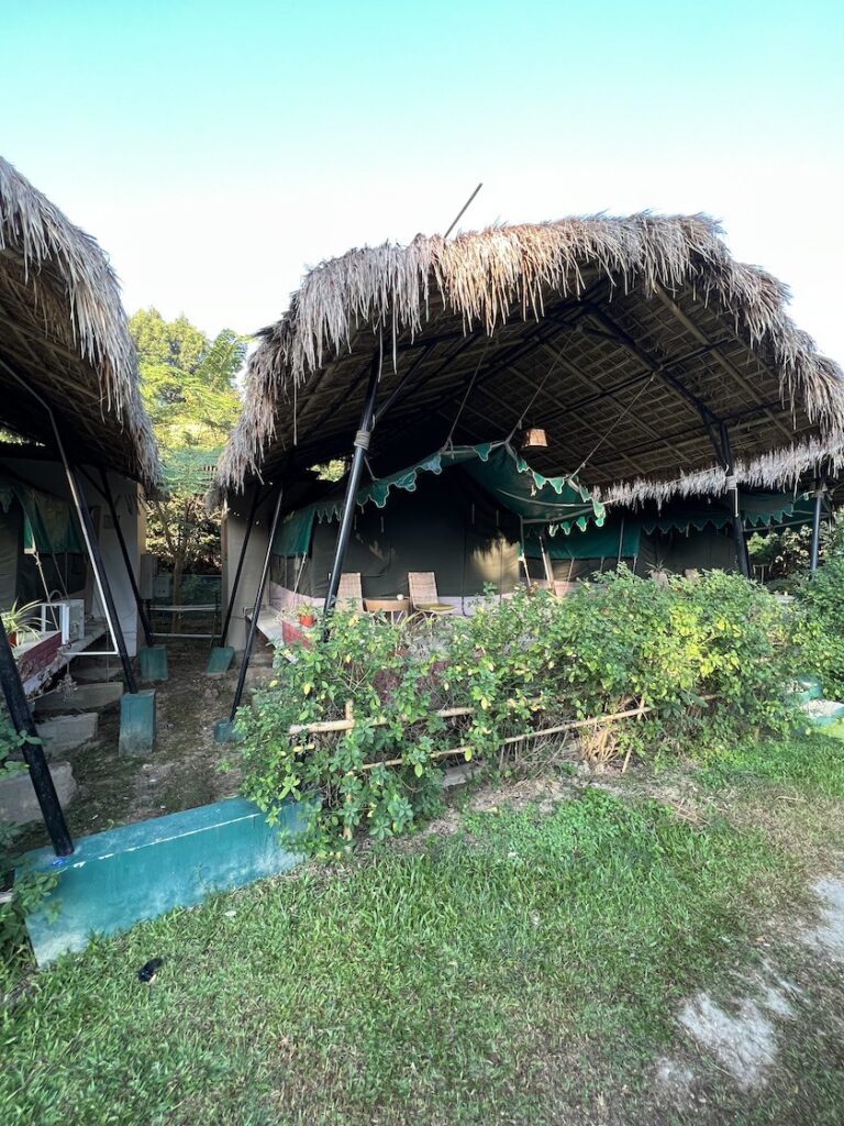 Glamping in Assam, venture outside the Golden Triangle in India