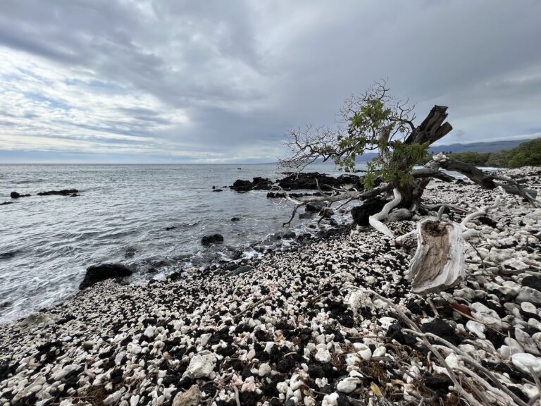 Holoholokai Beach, Big Island 3 day itinerary