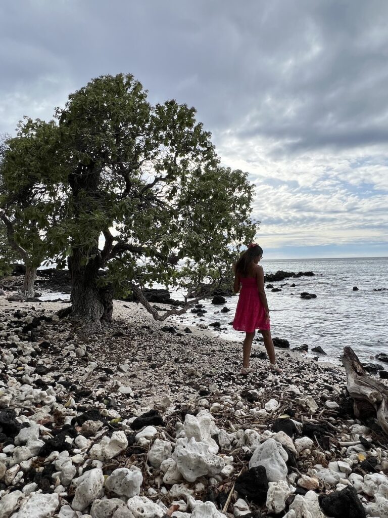 Holoholokai Beach Park in Big Island of Hawaii