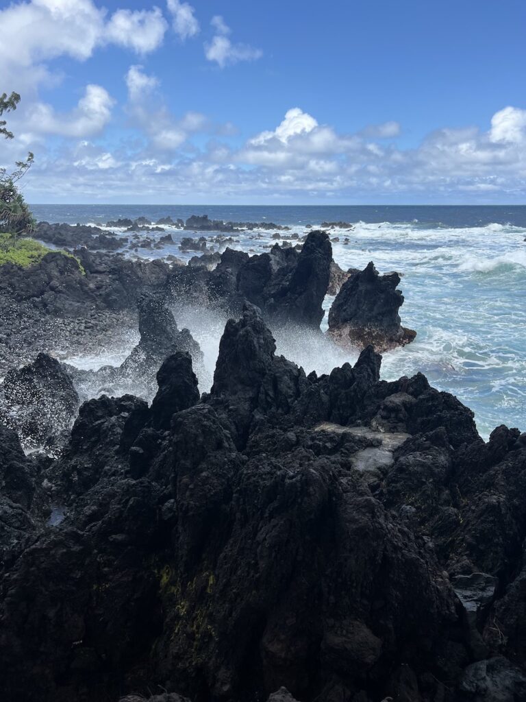 Laupahoehoe Point on the Big Island