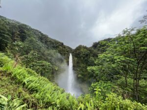 Akaka Falls Big Island 5 Day Itinerary; Big Island 7 day itinerary