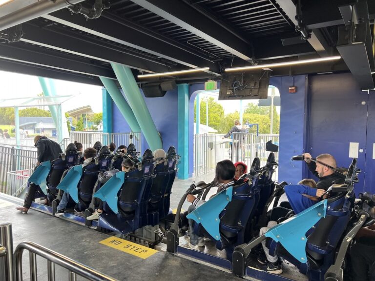 Electric Eel SeaWorld