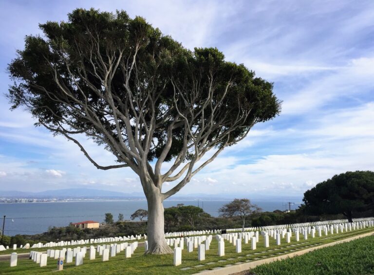 Fort Rosecrans National Cemetery, San Diego