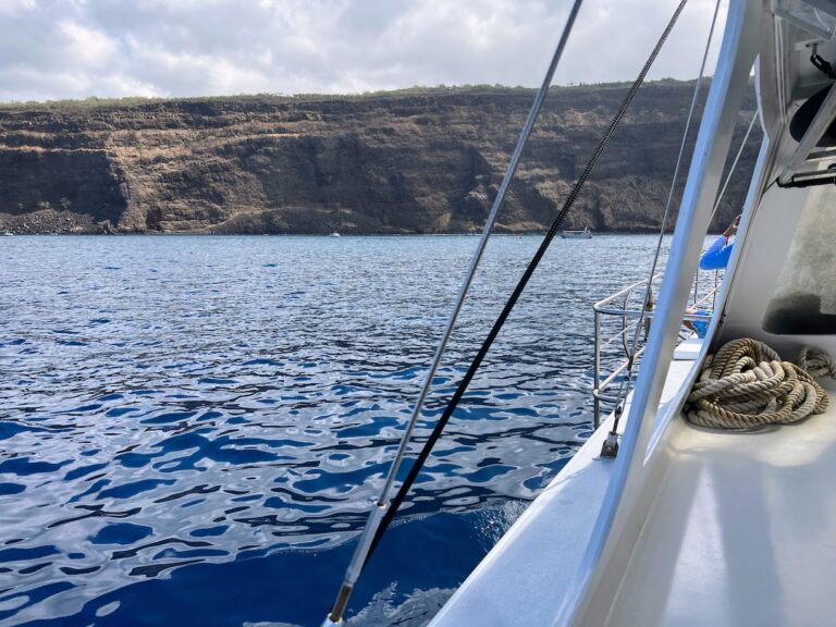 Snorkeling in Kealakekua Bay; Big Island 7 day itinerary