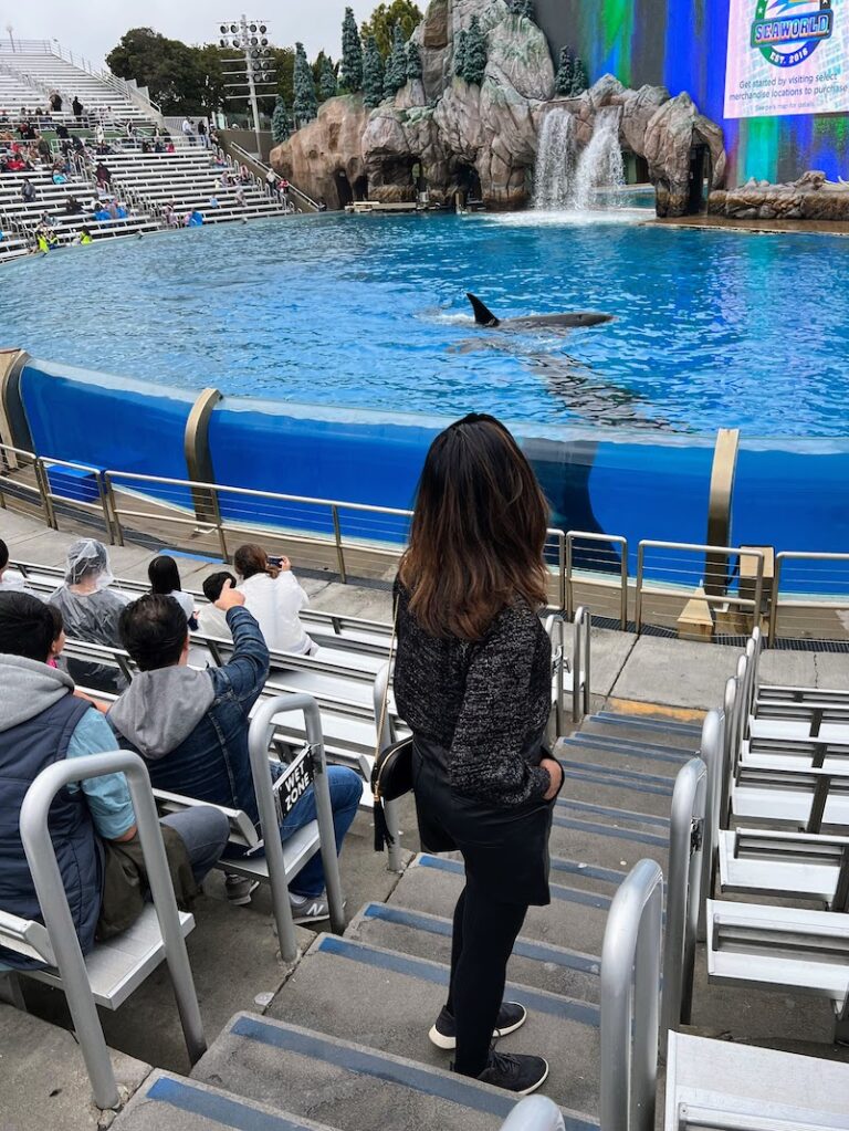 At Orca show